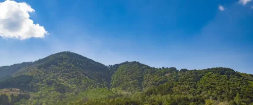 El mirador